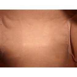 Speedy 35 monogram - MB851