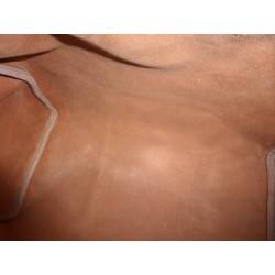 Speedy 35 monogram - SA831